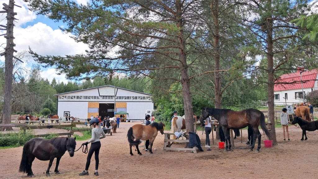 20240629_195840712_iOS 20240629_195840712_iOS